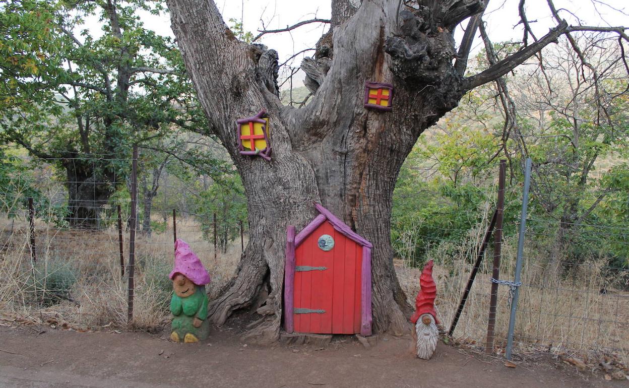 Escapadas por Málaga Ruta por el Valle del Genal de la aldea azul al